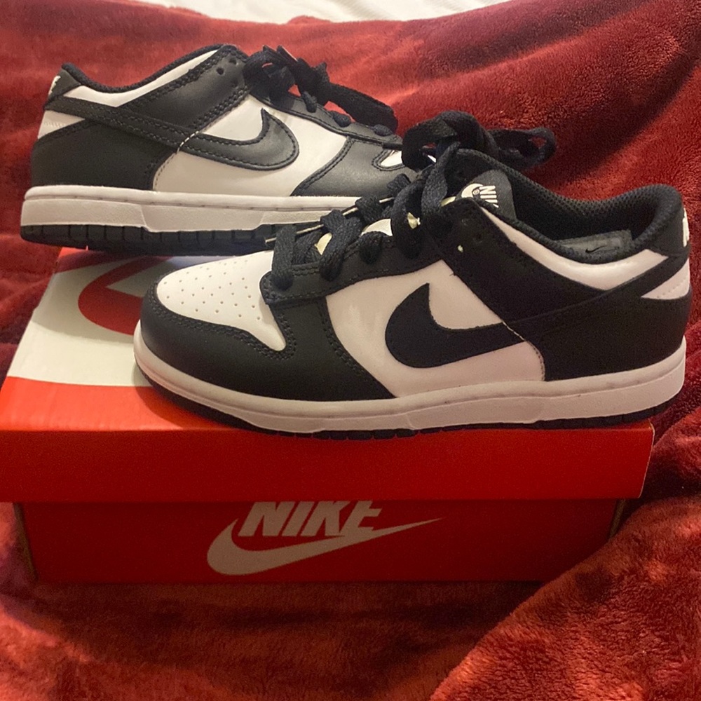 Kids Nike Dunk Low